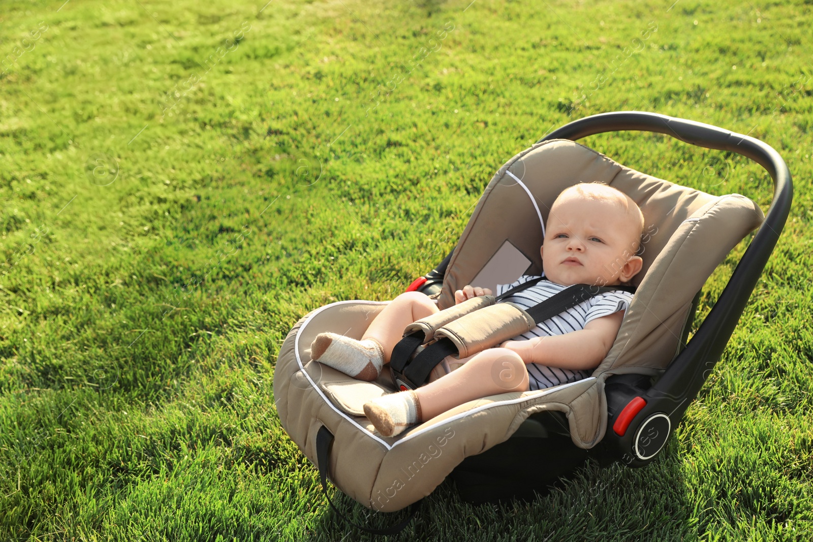 Photo of Adorable baby in child safety seat on green grass