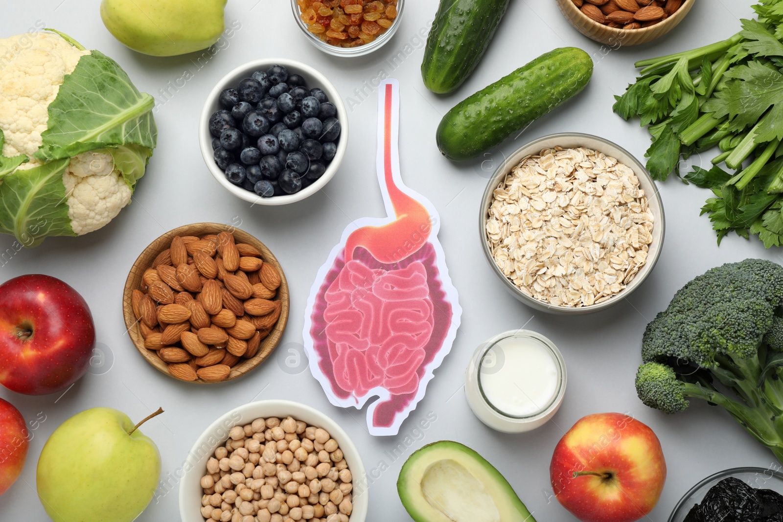 Photo of Layout of gastrointestinal tract model and products to help digestion on light table, top view