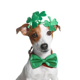 Image of St. Patrick's day celebration. Cute Jack Russell terrier wearing headband with clover leaves and green bow tie isolated on white