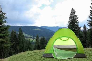 Green camping tent near beautiful conifer forest