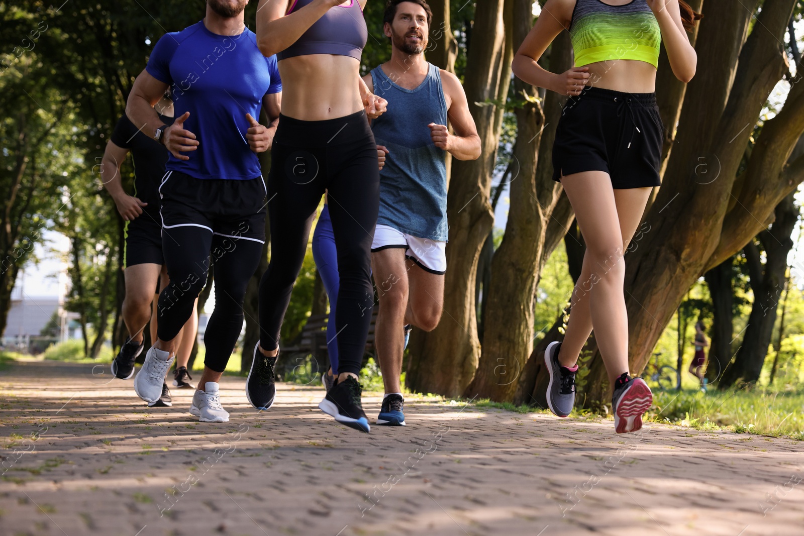 Photo of Group of people running in park on sunny day