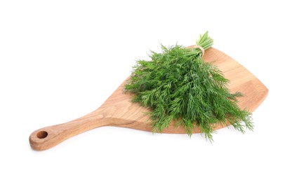 Photo of Board with fresh green dill isolated on white