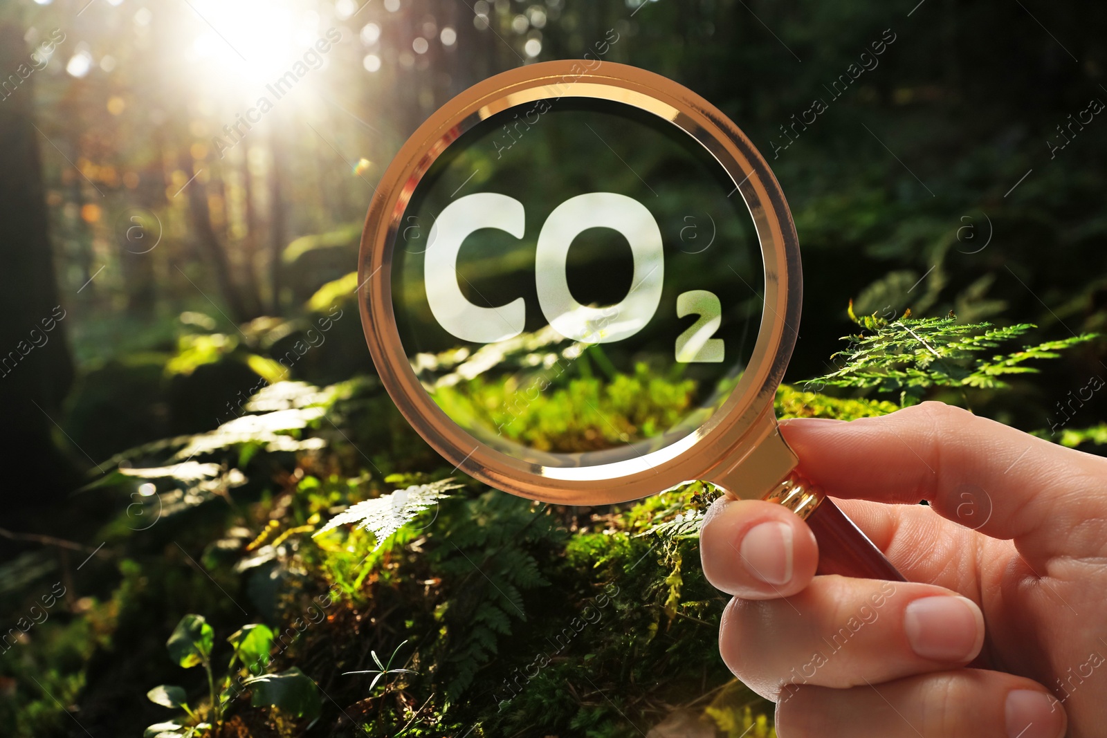 Image of Concept of clear air. Woman demonstrating CO2 inscription through magnifying glass outdoors, closeup