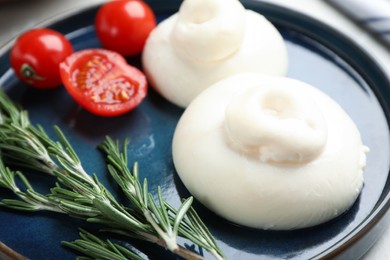 Photo of Delicious burrata cheese with rosemary and tomatoes on plate, closeup