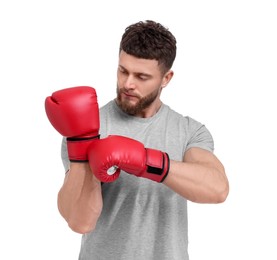 Photo of Man putting on boxing gloves against white background