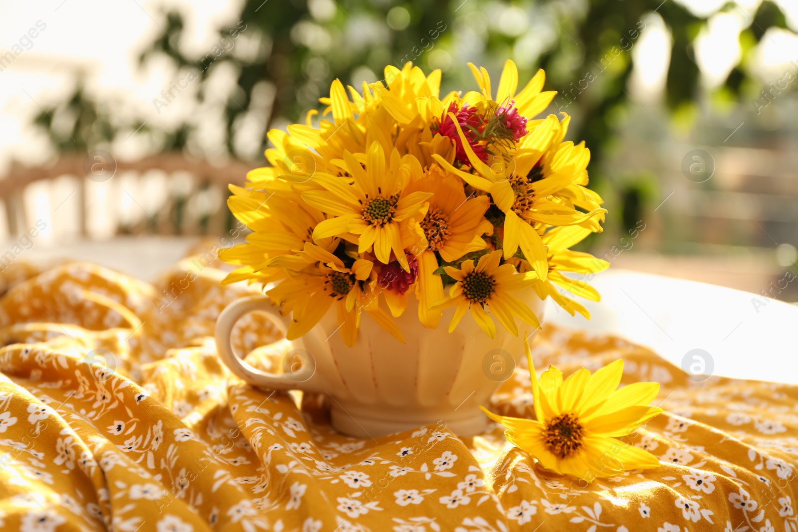 Photo of Beautiful bright yellow flowers in cup on fabric indoors