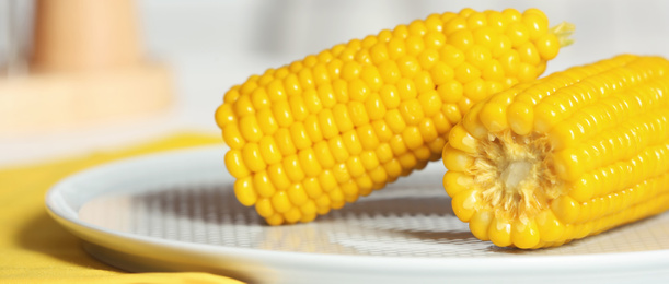 Image of Tasty corn cobs on plate, closeup. Banner design 