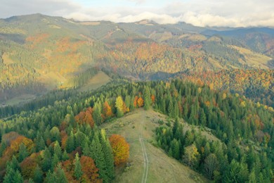 Aerial view of beautiful pathway in mountain forest on sunny day