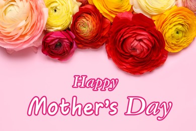 Image of Happy Mother's Day. Beautiful ranunculus flowers on pink background, flat lay