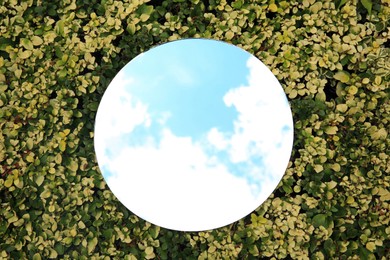 Photo of Round mirror among leaves reflecting cloudy sky on sunny day, top view