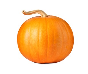 Photo of One fresh orange pumpkin isolated on white