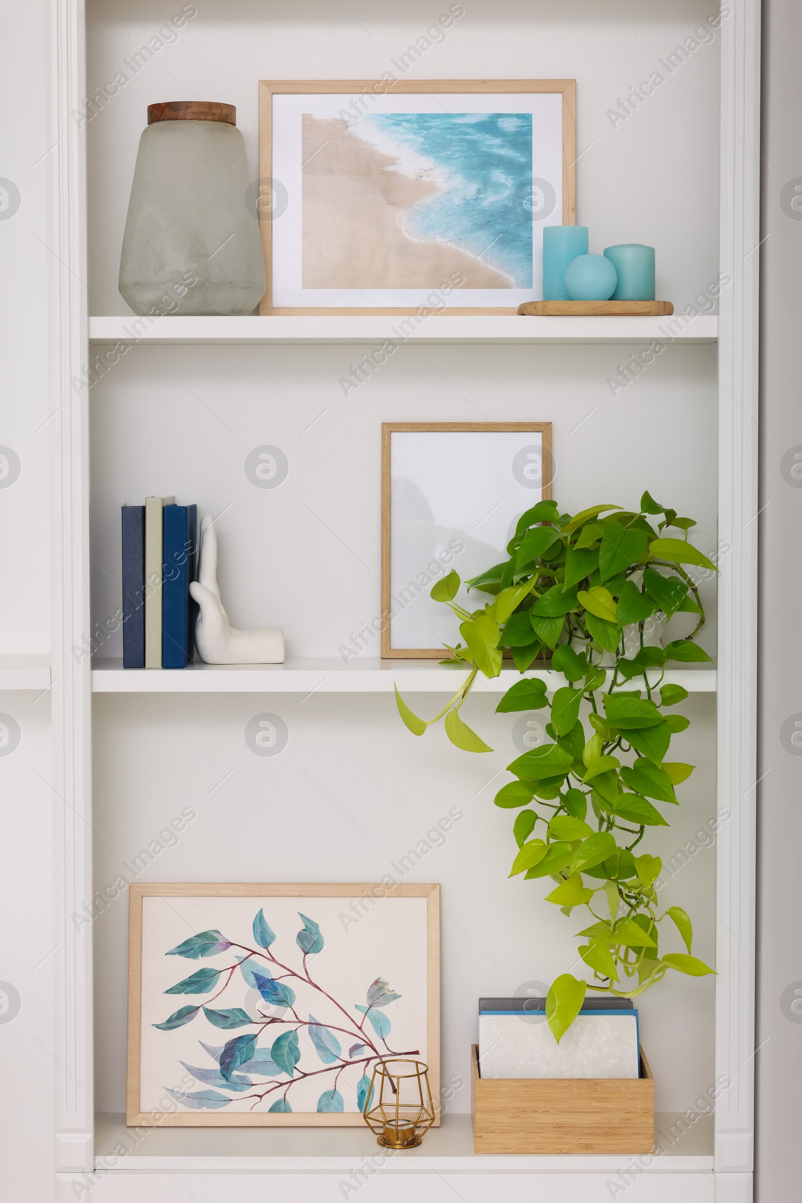 Photo of Interior design. Shelves with stylish accessories, potted plants and pictures near white wall