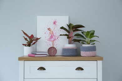 Photo of Different houseplants on chest of drawers near light grey wall