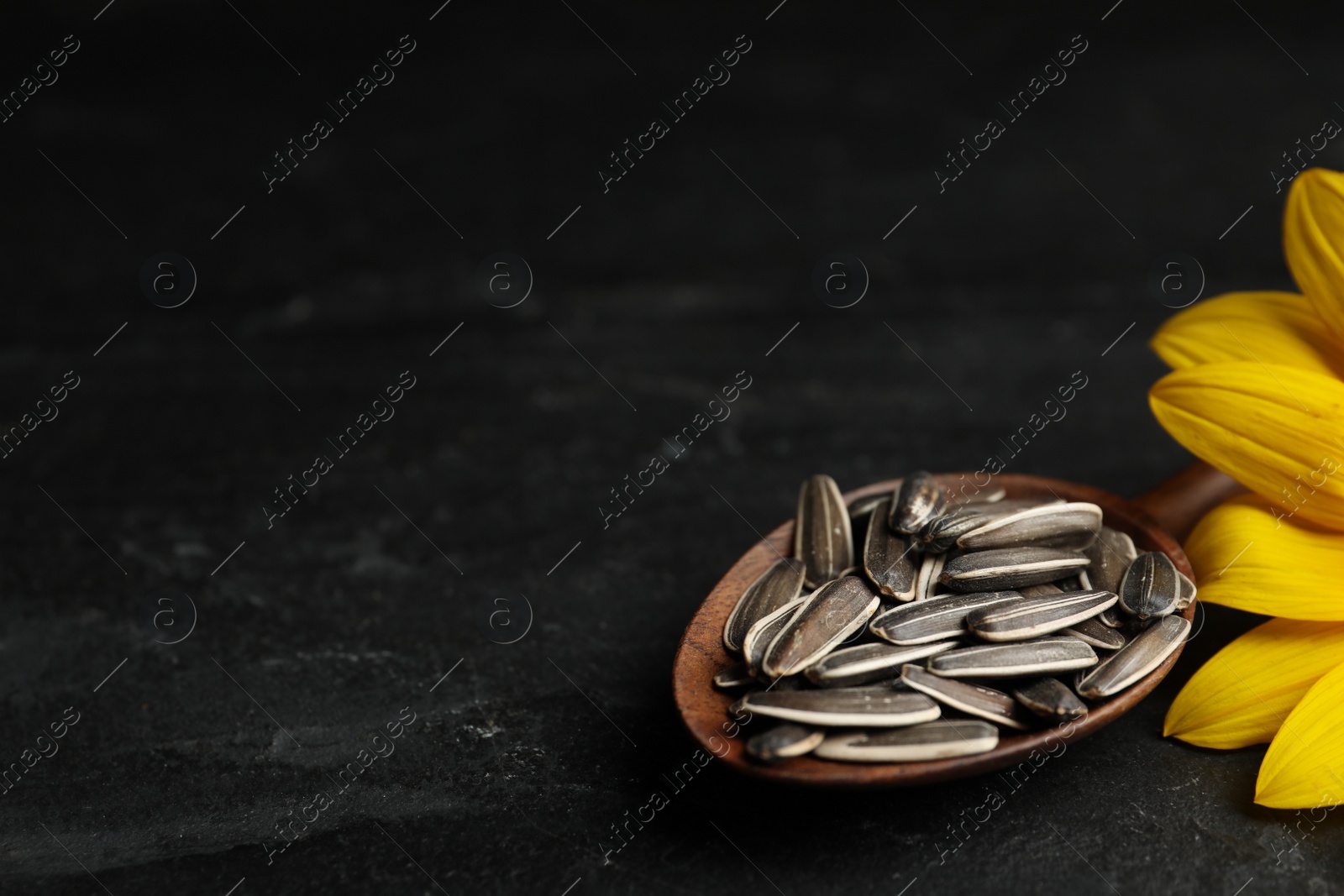 Photo of Raw sunflower seeds and flower on black table, closeup. Space for text