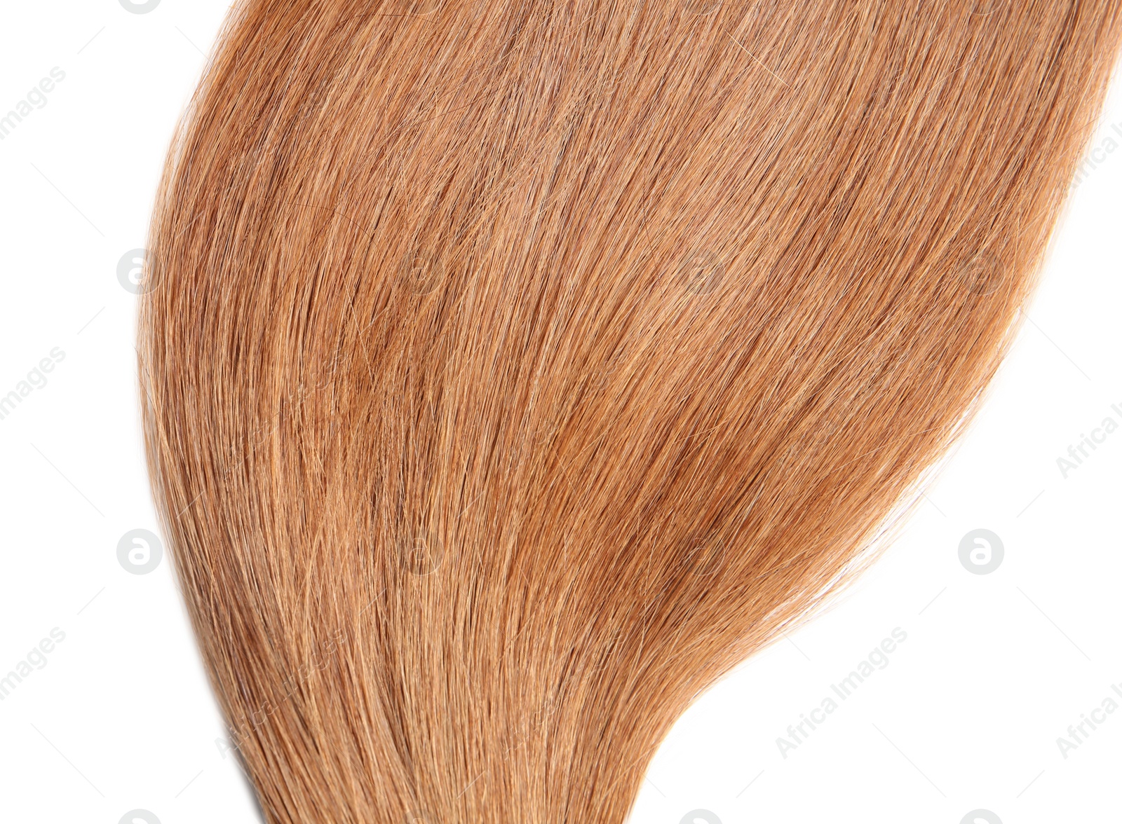 Photo of Strand of healthy red hair on white background