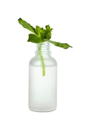 Bottle of essential oil and basil isolated on white