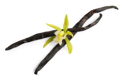 Photo of Vanilla pods and beautiful flower isolated on white