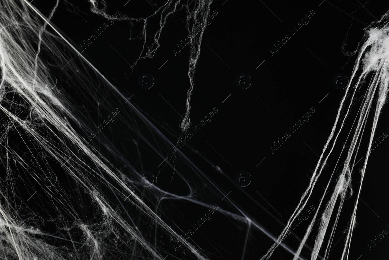 Photo of Creepy white cobweb on black background, closeup