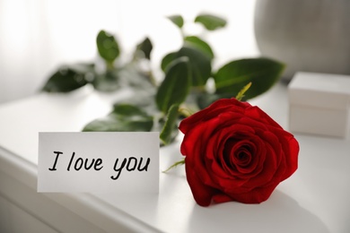 Paper with text I Love You and red rose on nightstand indoors, closeup