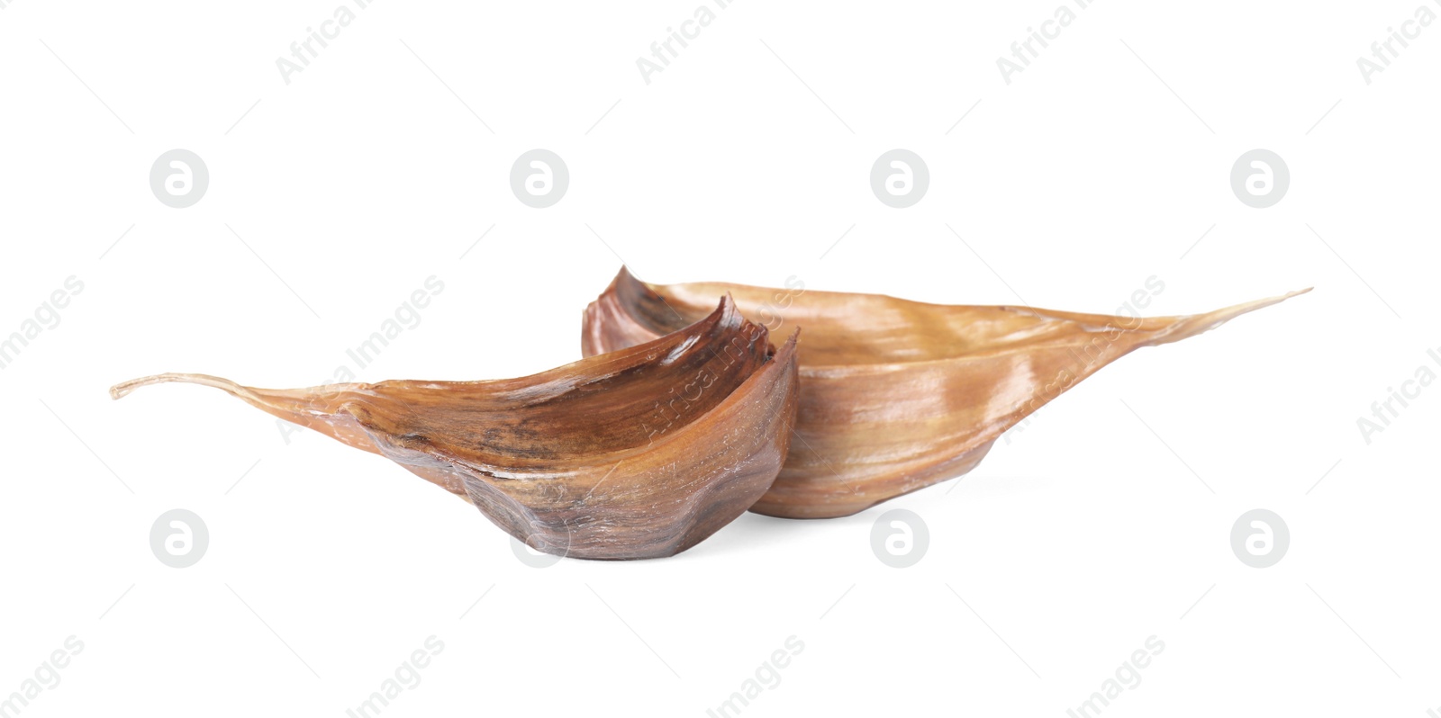 Photo of Unpeeled cloves of aged black garlic on white background