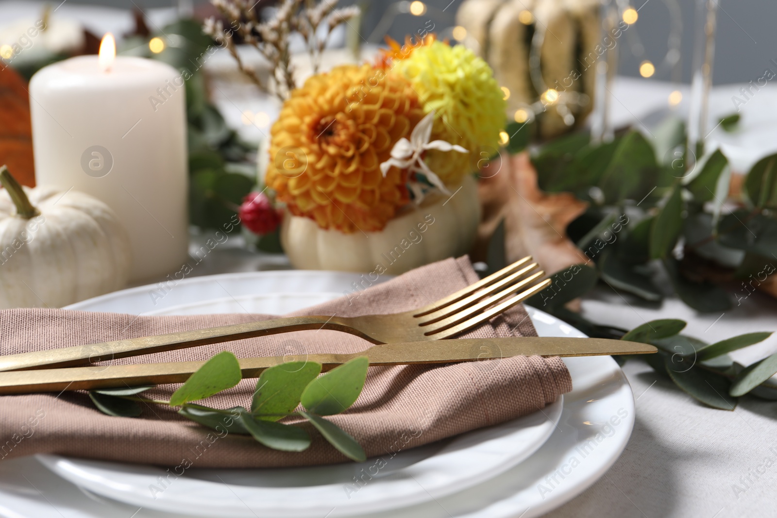 Photo of Beautiful autumn table setting with floral decor, closeup