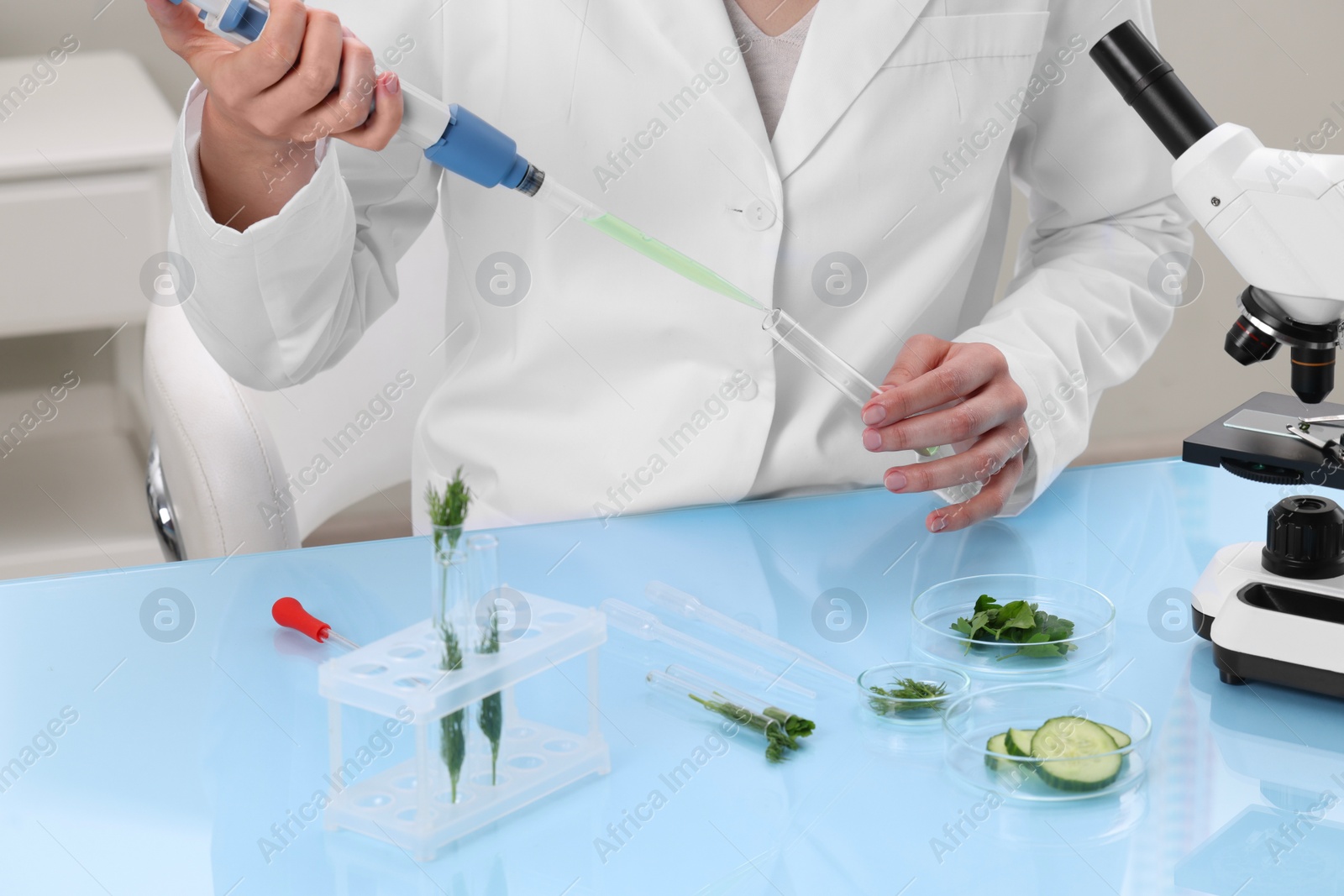 Photo of Quality control. Food inspector checking safety of products in laboratory