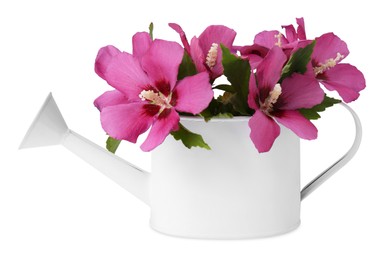 Photo of Beautiful flowers in watering can isolated on white