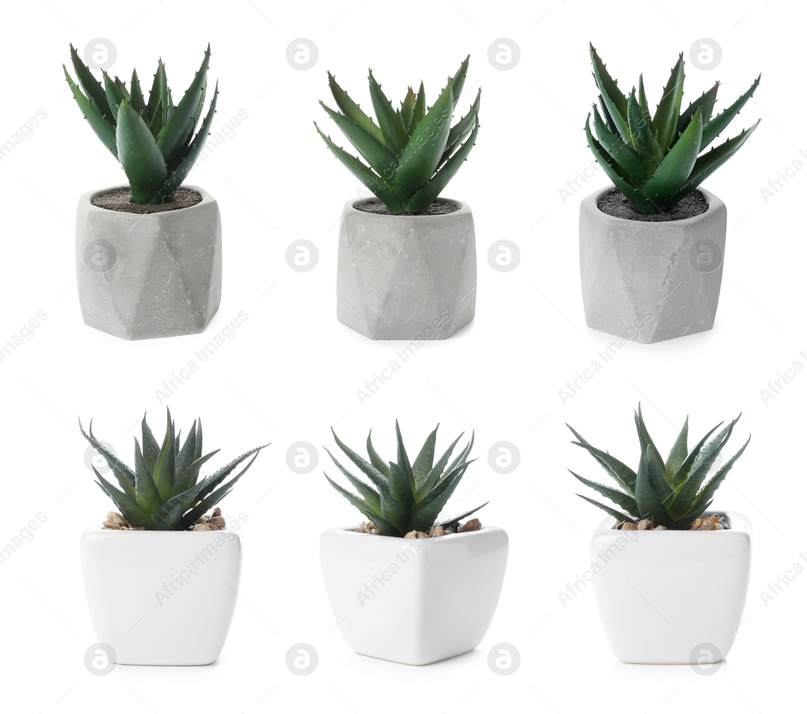 Image of Set of artificial plants in flower pots isolated on white