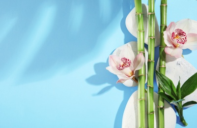 Photo of Composition with bamboo branches, flowers and spa stones on color background, top view. Space for text