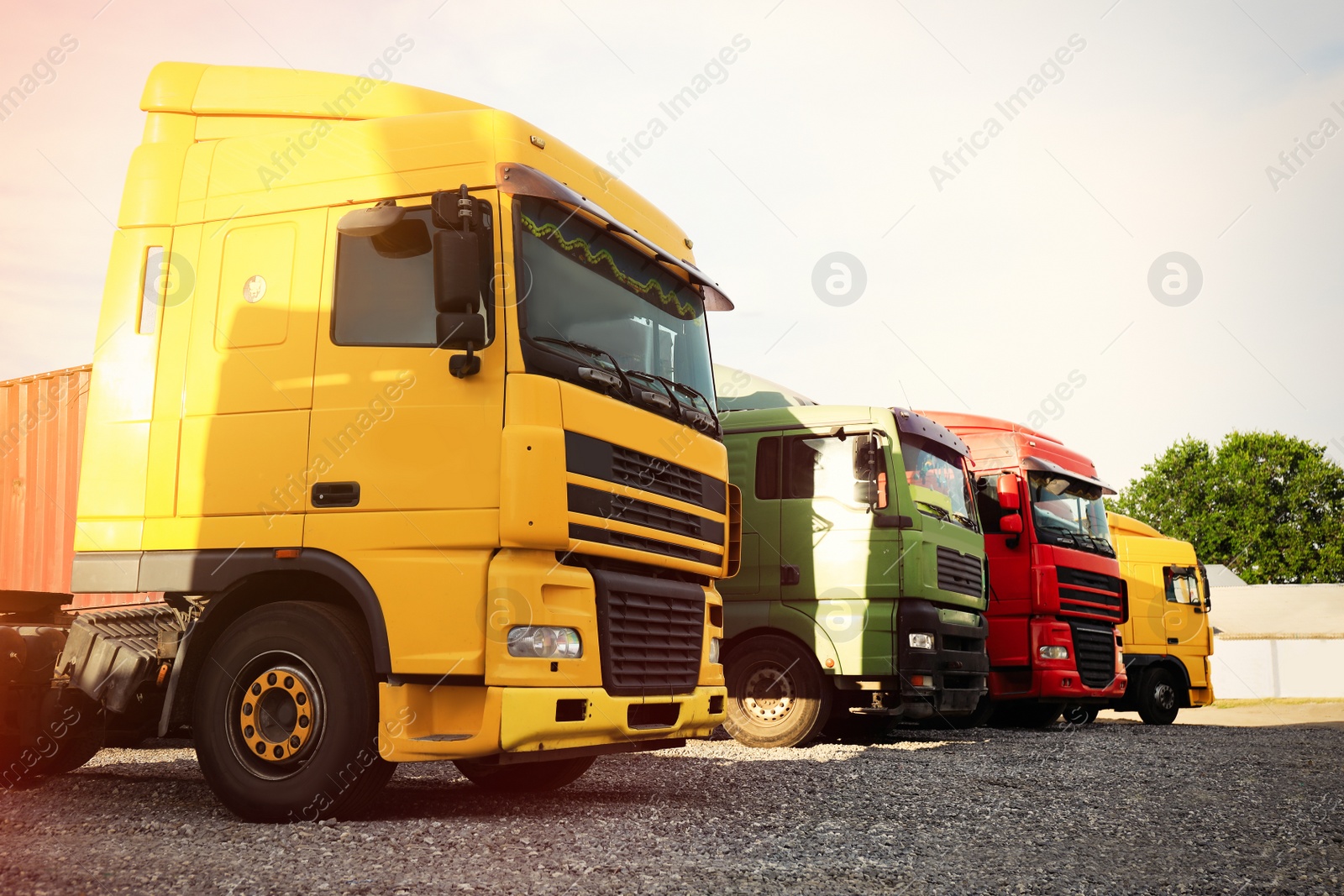 Photo of Different bright trucks parked outdoors. Modern transport
