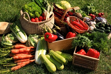 Different fresh ripe vegetables on green grass