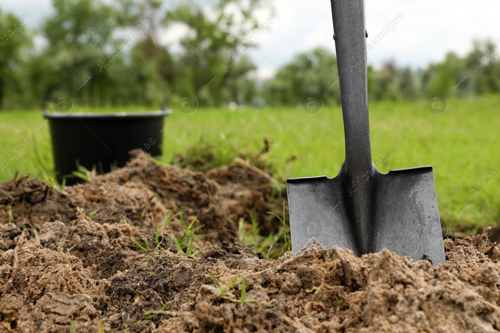 Photo of Shovel in soil outdoors, space for text. Gardening tool