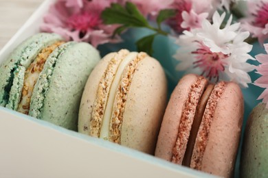 Delicious macarons and flowers in box, closeup