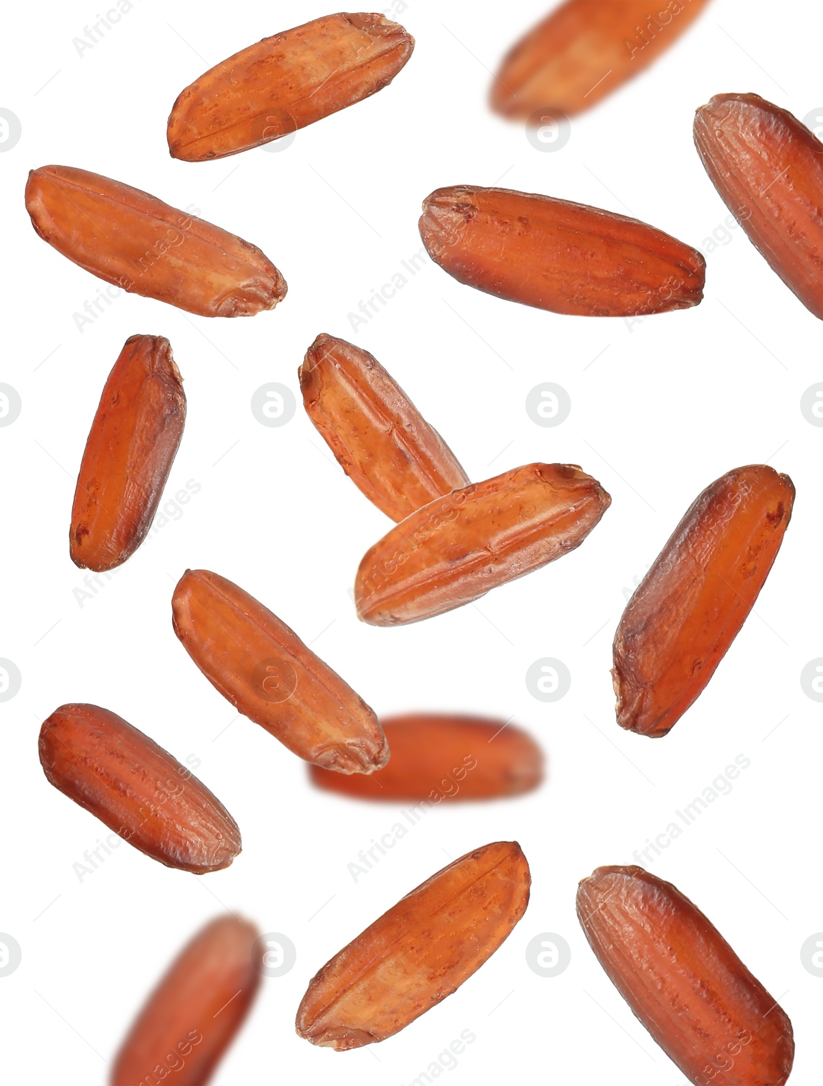 Image of Many brown rice falling on white background. Vegan diet  