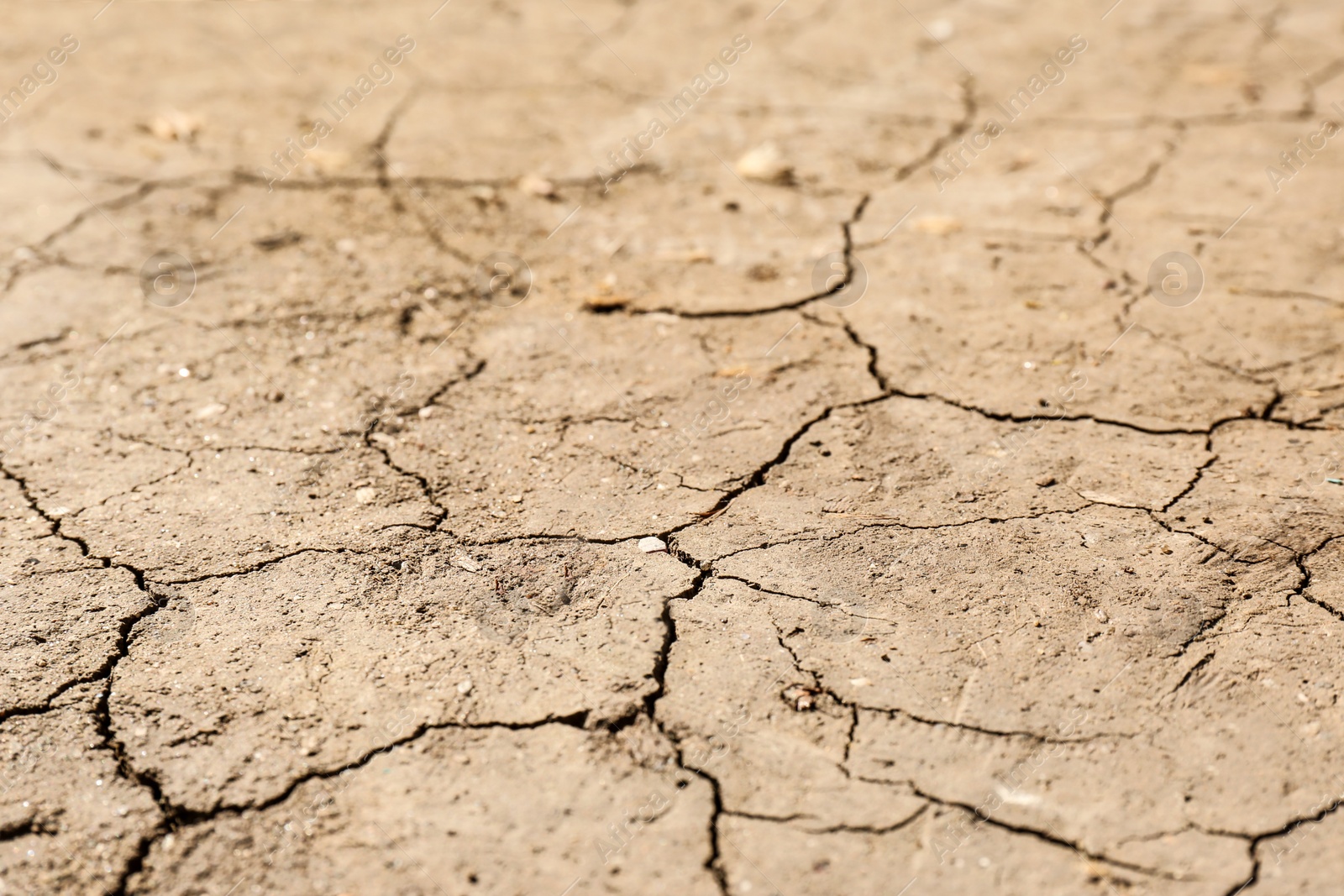 Photo of Cracked ground surface as background, closeup. Thirsty soil