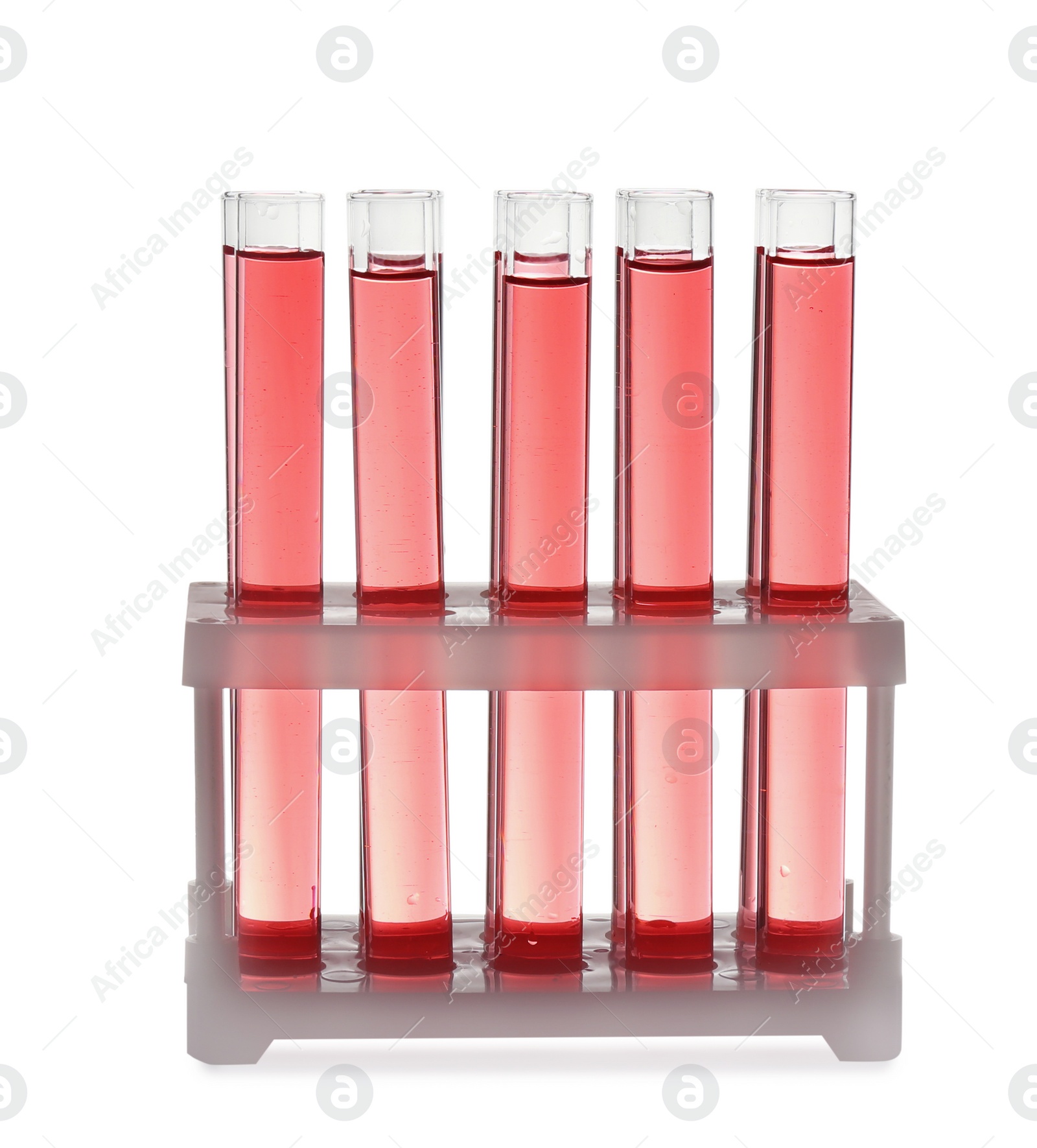 Photo of Test tubes with red liquid in rack isolated on white