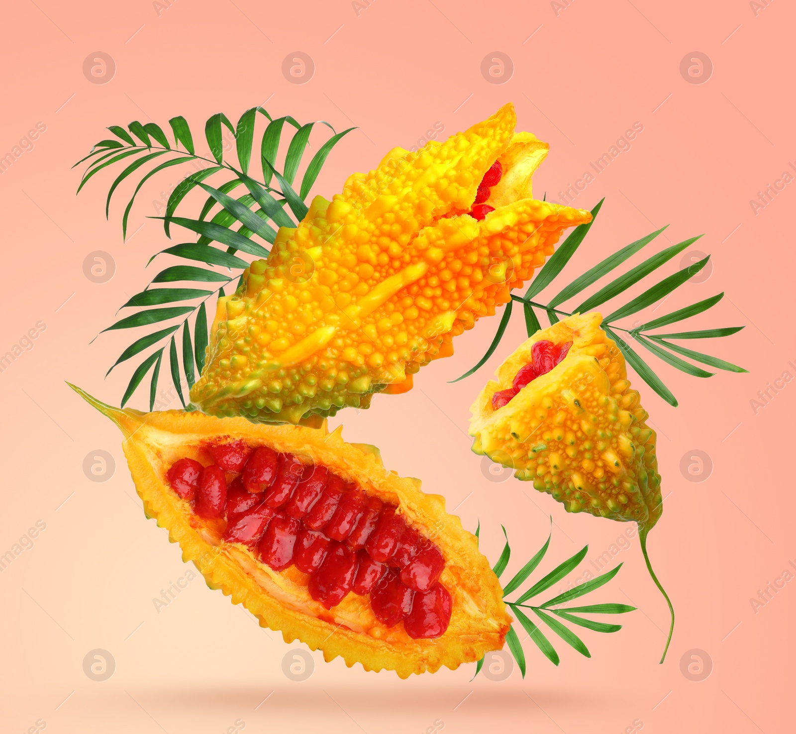 Image of Delicious ripe bitter melons and leaves falling on coral background