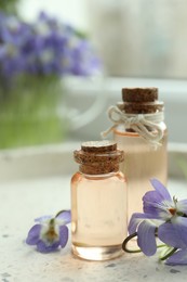 Photo of Beautiful wood violets and essential oil on table. Spring flowers