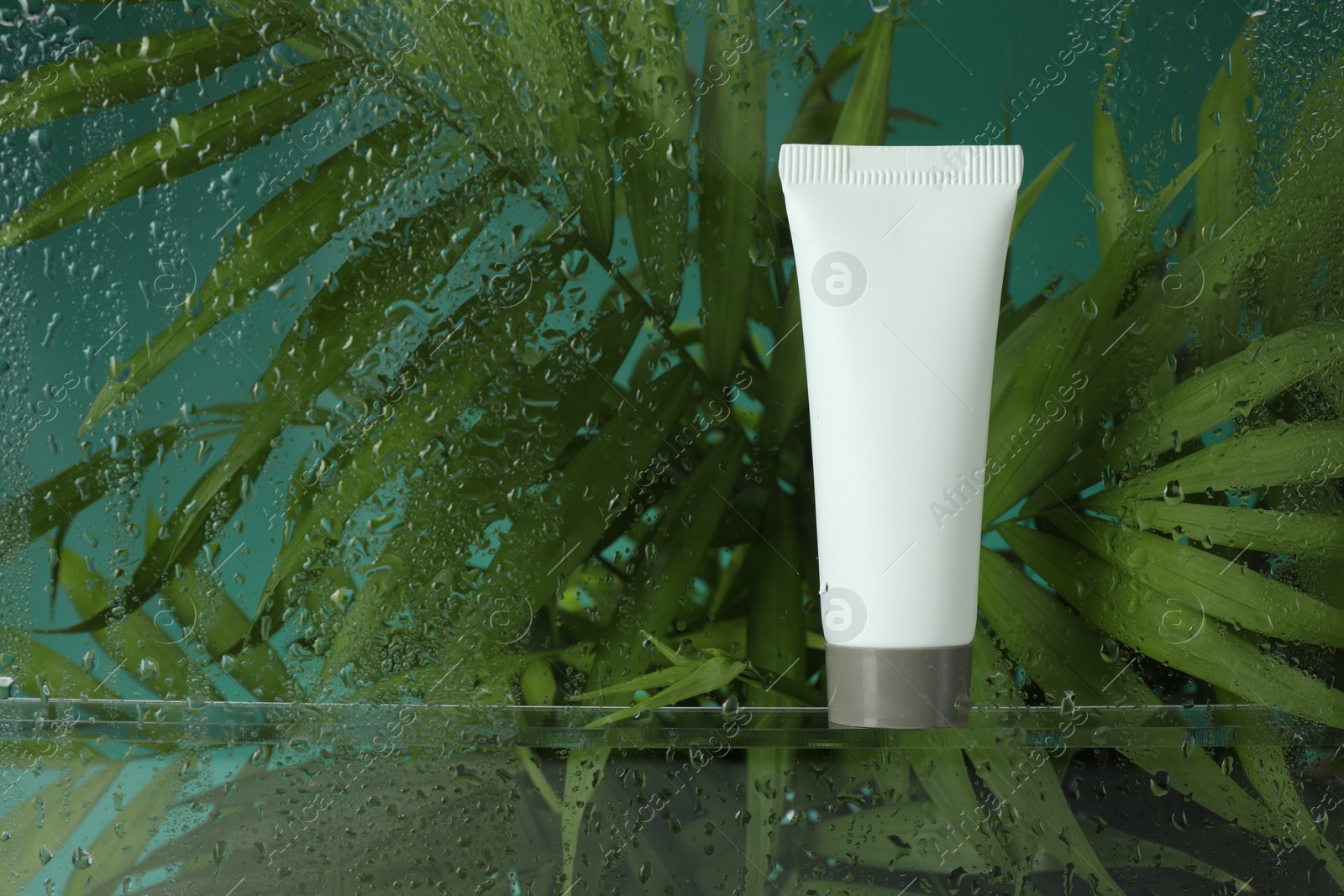 Photo of Tube with moisturizing cream and palm leaves on green background, view through wet glass