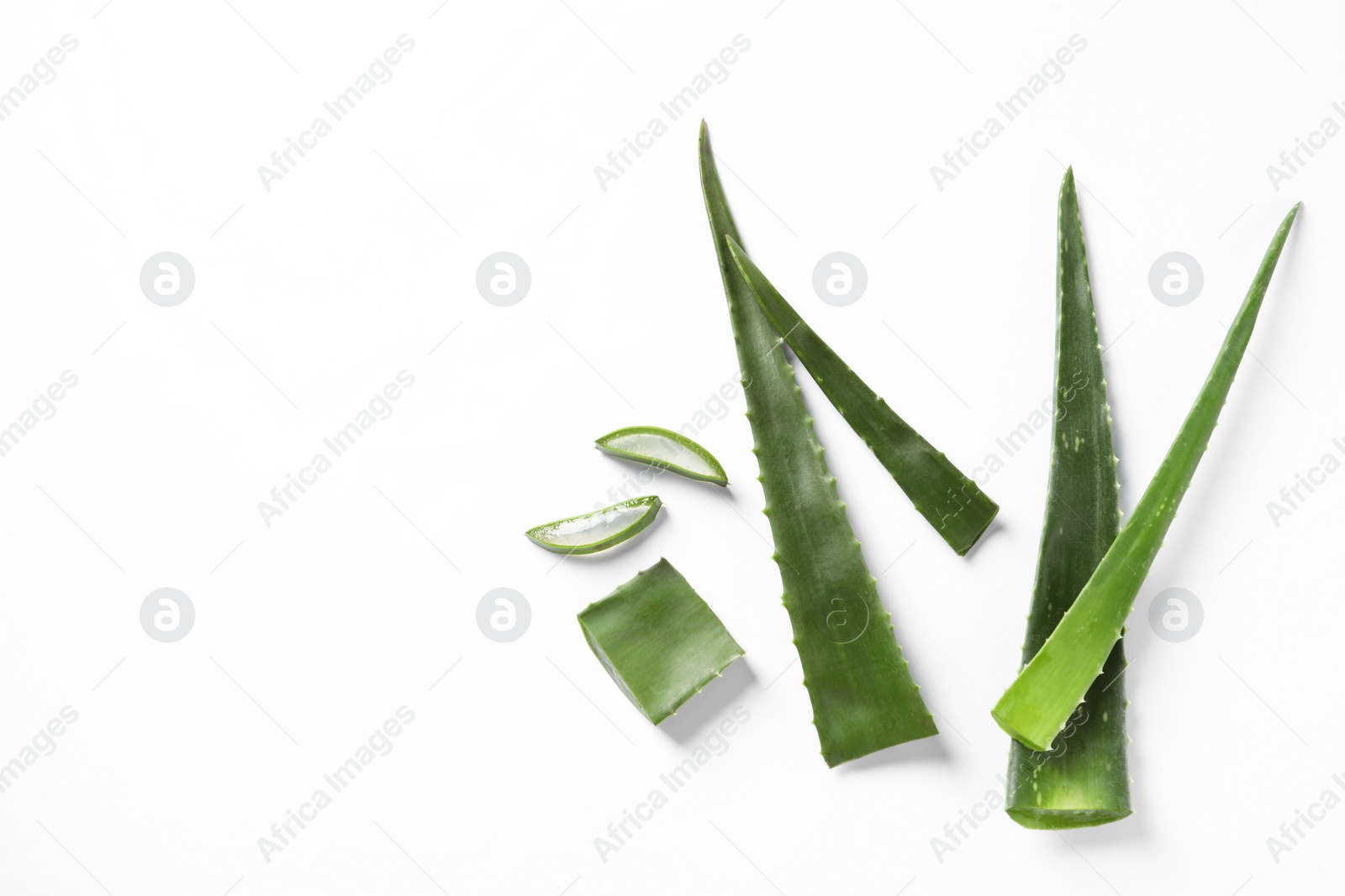 Photo of Cut aloe vera plant on white background, flat lay. Space for text