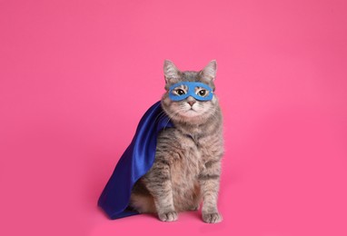 Photo of Adorable cat in blue superhero cape and mask on pink background