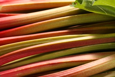 Photo of Many ripe rhubarb stalks as background, closeup