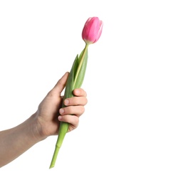 Photo of Man holding beautiful spring tulip on light background, closeup. International Women's Day