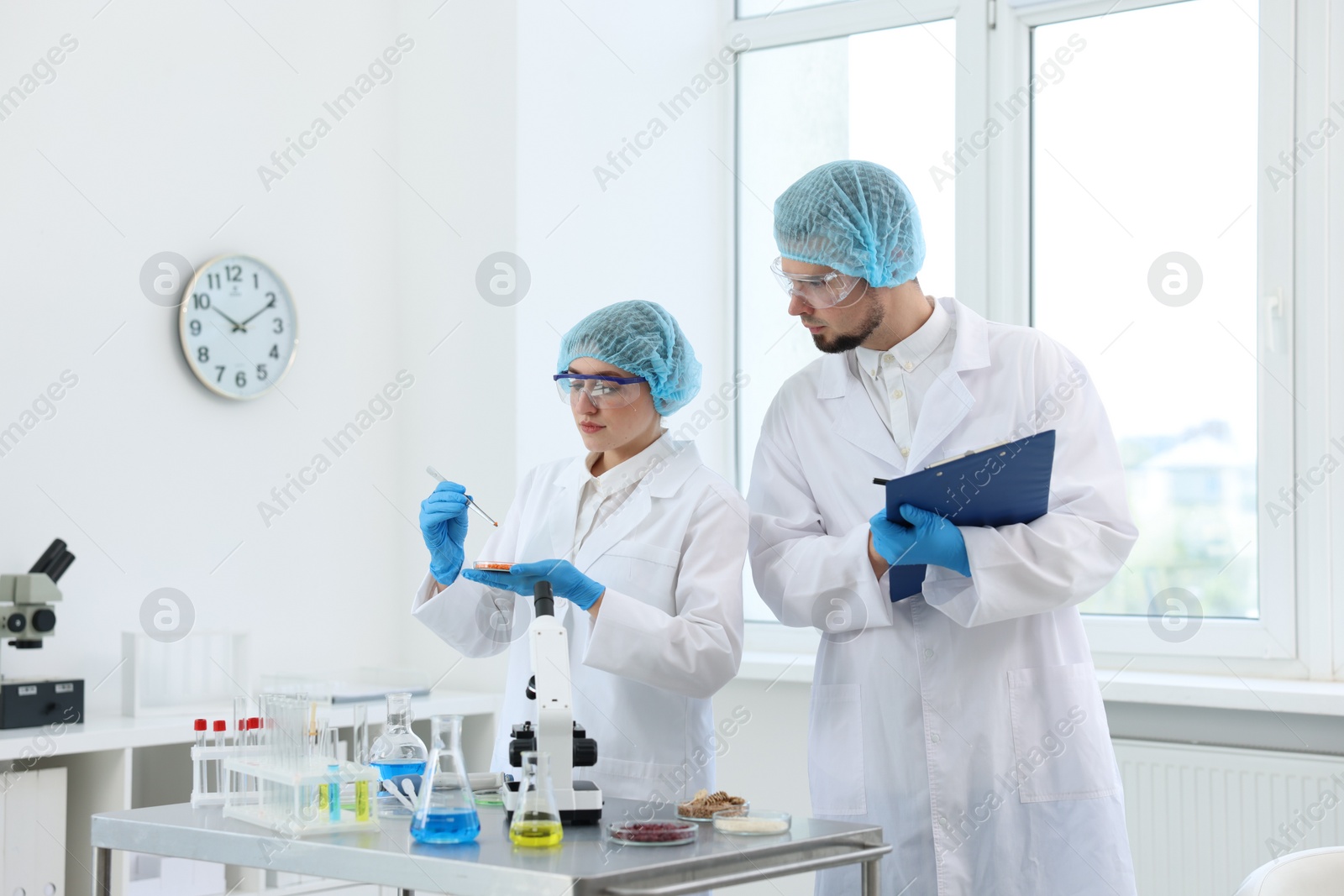 Photo of Quality control. Food inspectors checking safety of products in laboratory