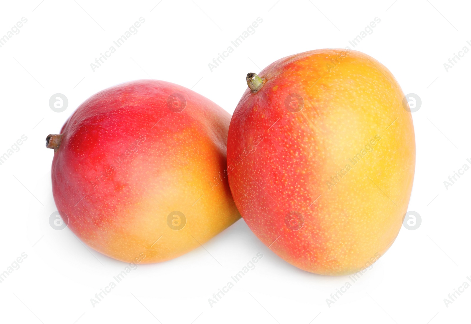 Photo of Delicious ripe juicy mangoes on white background