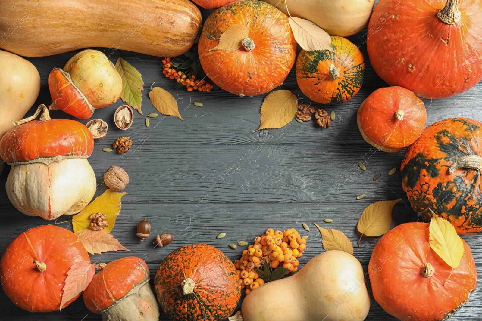 Photo of Orange pumpkins on wooden background, flat lay composition with space for text. Autumn holidays