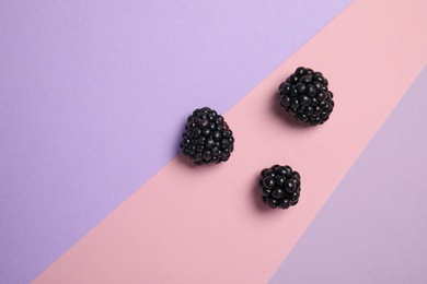 Flat lay composition with ripe blackberries on color background