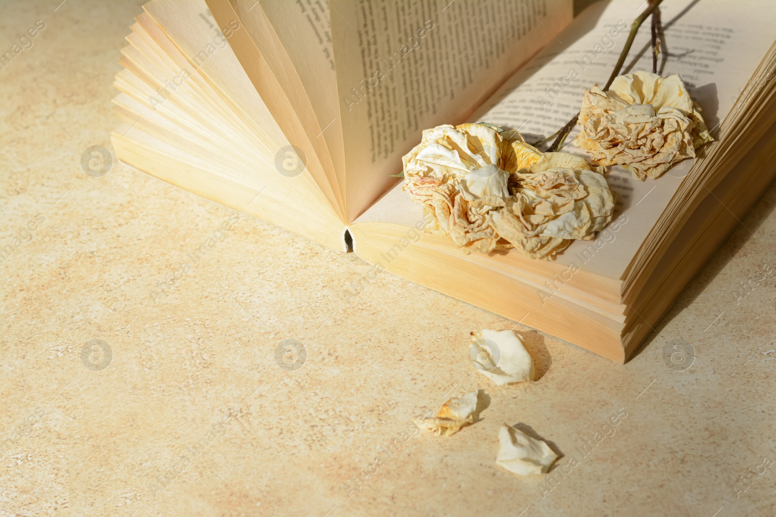 Photo of Book with beautiful dried flowers on light table, space for text