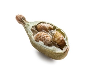 Dry green cardamom pod with seeds isolated on white, closeup