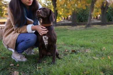 Woman with her German Shorthaired Pointer dog in park. Space for text